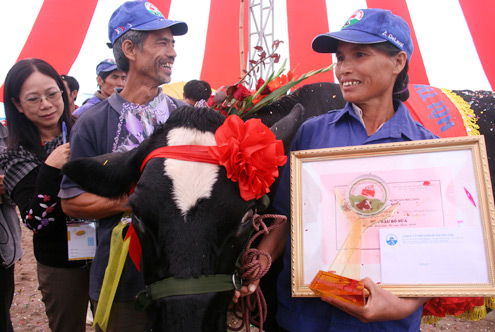 "Miss bò" Mộc Châu năm 2010 "rinh" giải thưởng 46 triệu đồng